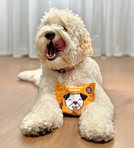 Dog Treat Image