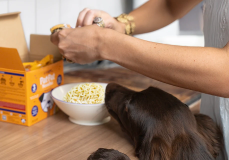 Dog Treat Image